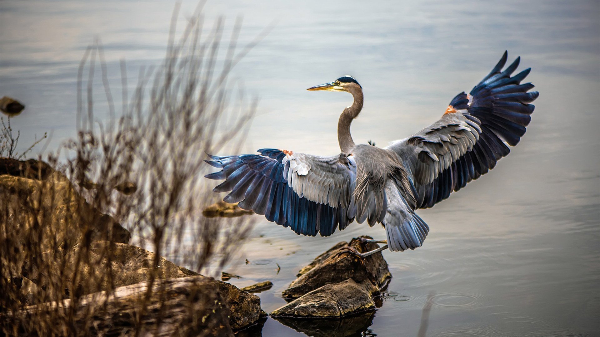 绝境长城，当字母哥在生死战撕碎广东队最后的骄傲